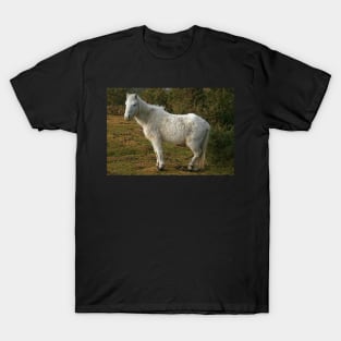 Forest Pony T-Shirt